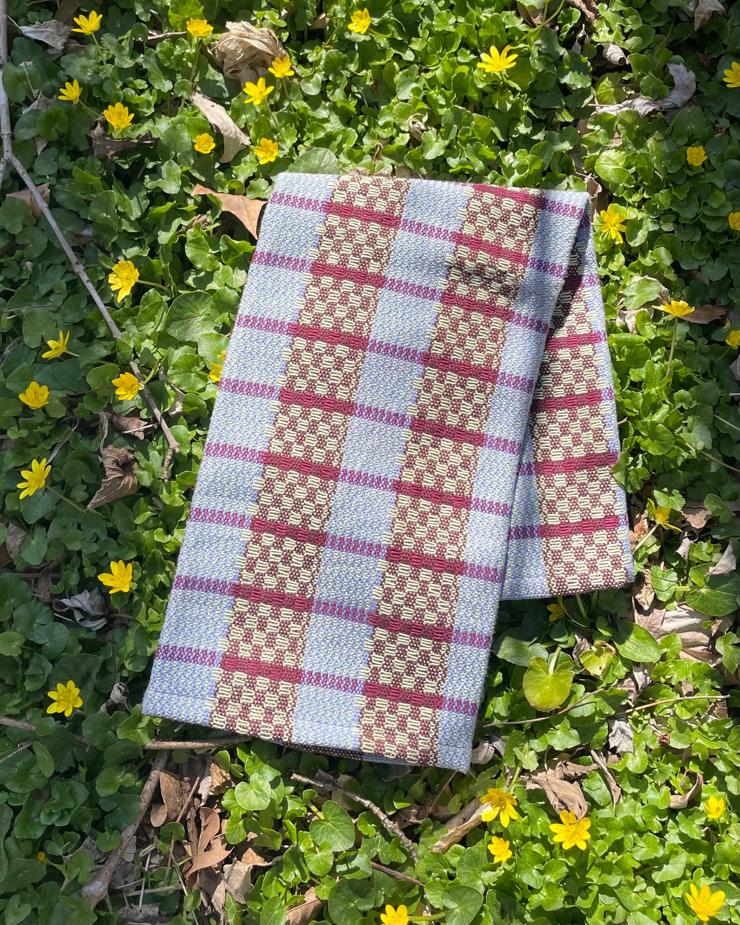 *NEW* Checkmate (Lime & Wine)